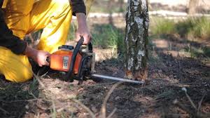 Best Lawn Drainage Solutions  in Cloverly, MD