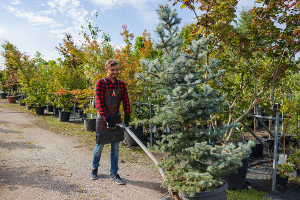 Best Aeration Services  in Cloverly, MD
